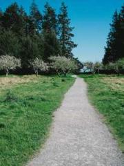 Spoil you in my arms