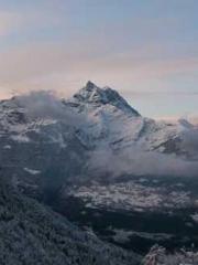 The Best Little Body