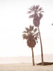 A Lifetime of Captiv