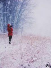 Rebirth of the Super