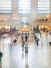 The Favorite Concubi