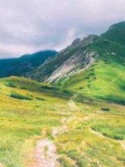 The Imperial Concubi