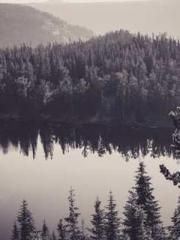 Morning sickness aft