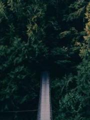 Lu Wanwan Li Jingche