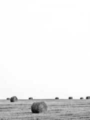 The wife wishes to b