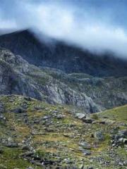 The Heavenly Physici