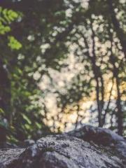 lt;Nineth Uncle, you