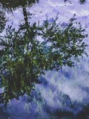 The Beloved Physicia