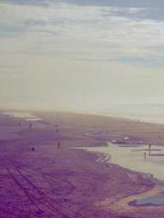 Super husband Lin Xi